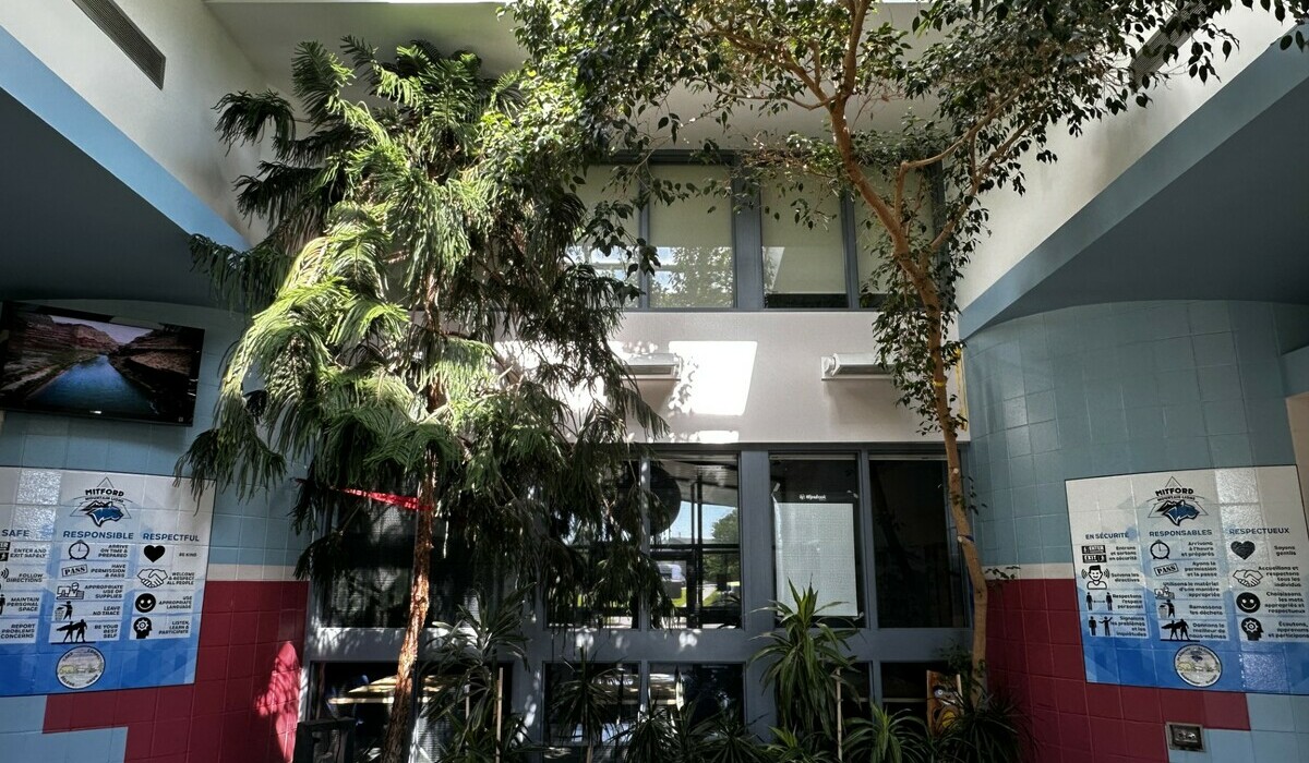 Entry way to Mitford School with the trees